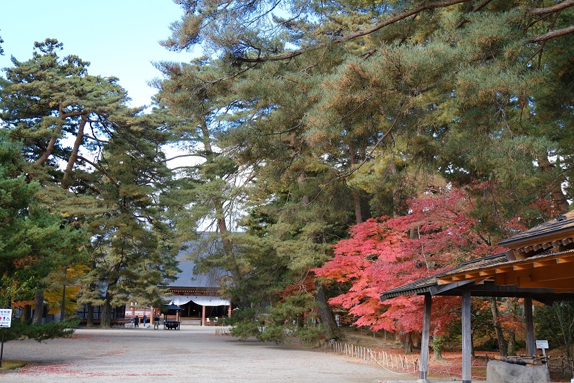 世界遺産奥州平泉毛越寺の紅葉の写真