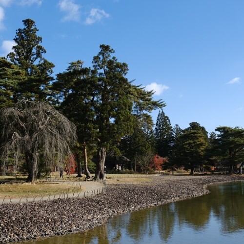 毛越寺の紅葉の写真