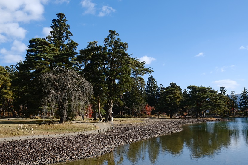 毛越寺の紅葉の写真