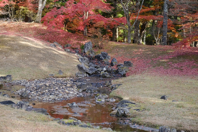 世界遺産奥州平泉毛越寺の紅葉の写真