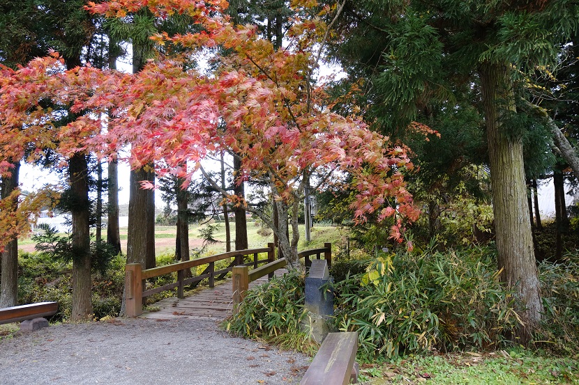 遠野の河童池の風景写真