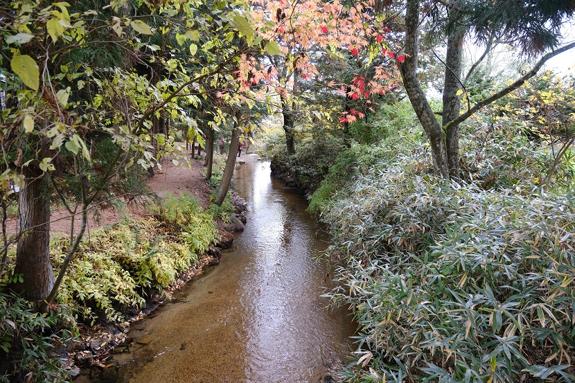 遠野の河童池の風景写真