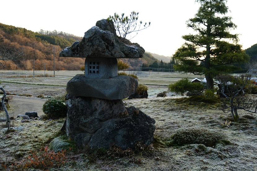 12月の庭の風景写真