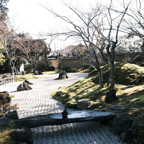 松島円通院の1月の風景写真