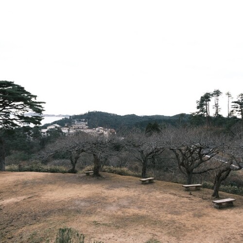 松島西行戻しの松公園の12月の風景