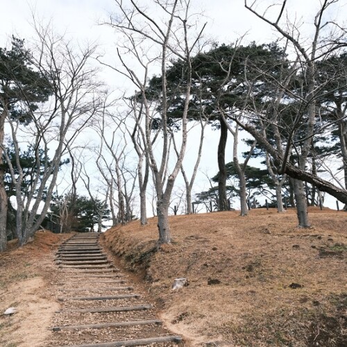 松島西行戻しの松公園の12月の風景