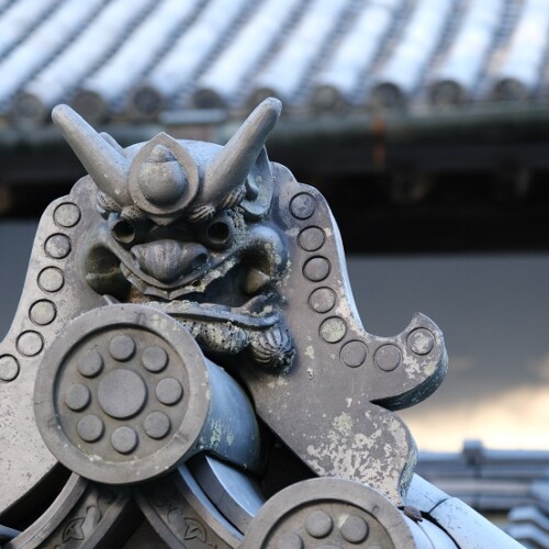 松島瑞巌寺の12月の風景