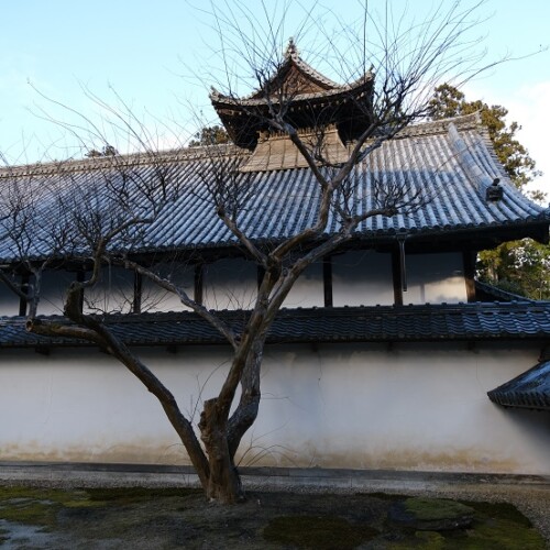 松島瑞巌寺のいろんな建物の文様