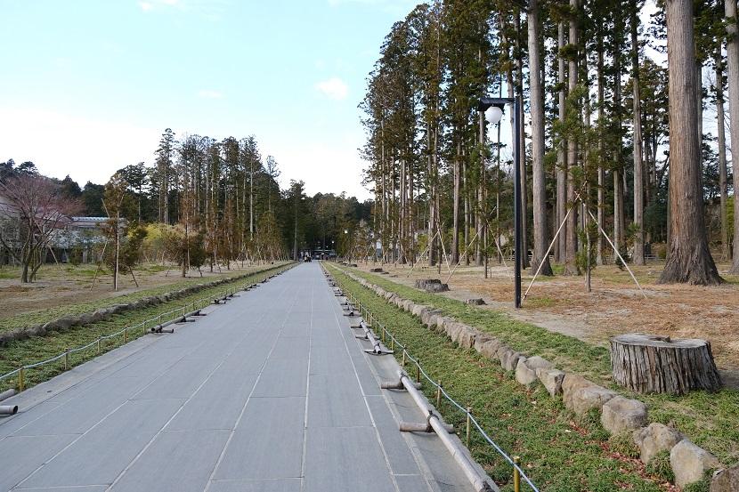 松島瑞巌寺の12月の参道の風景