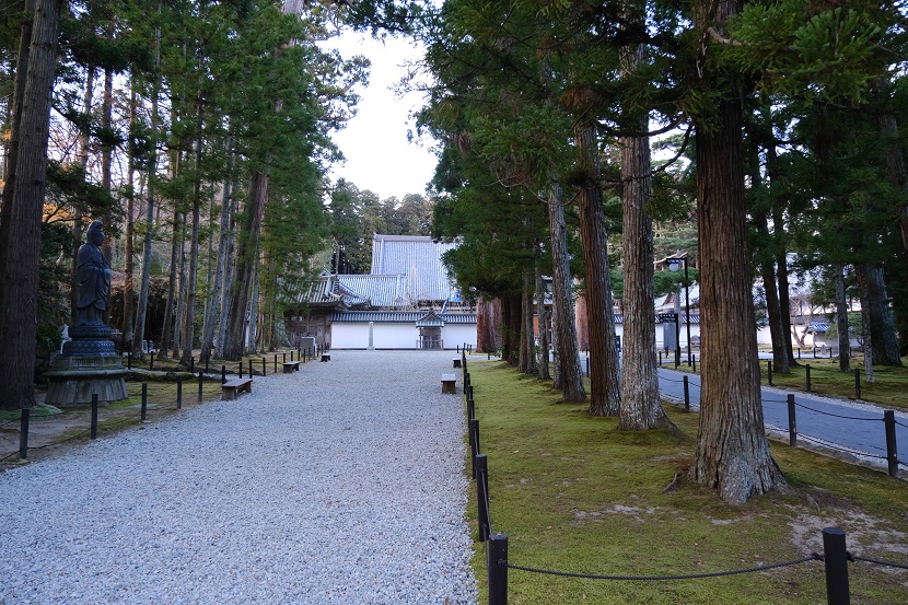 松島瑞巌寺の12月の参道の風景