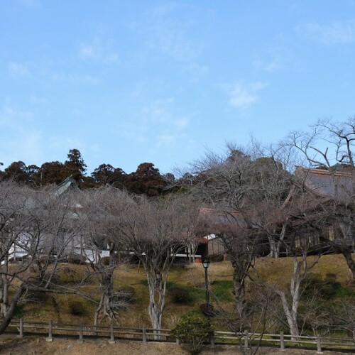 2月の塩釜神社の写真