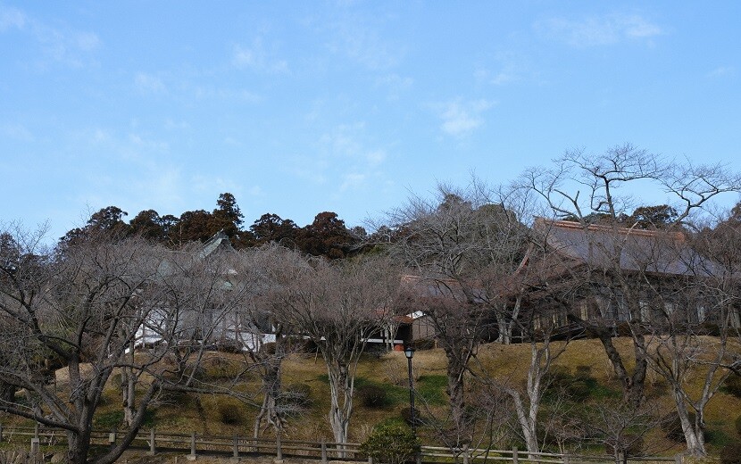 2月の塩釜神社の写真