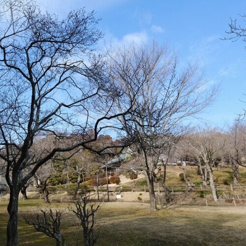 2月の塩釜神社の写真