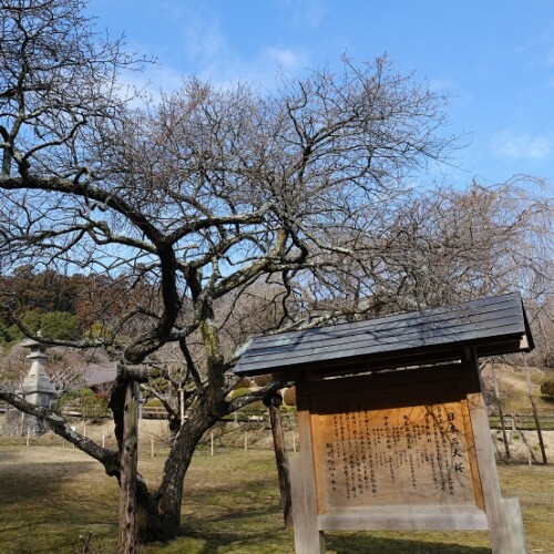 2月の塩釜神社の写真