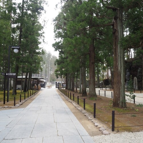 松島瑞巌寺の参道の写真