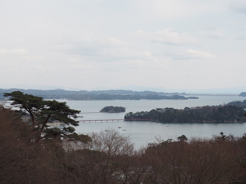 春の松島西行戻しの松公園から福浦橋を望んだ写真