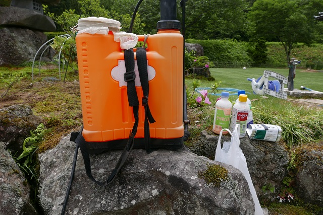 高麗芝の除草剤の写真