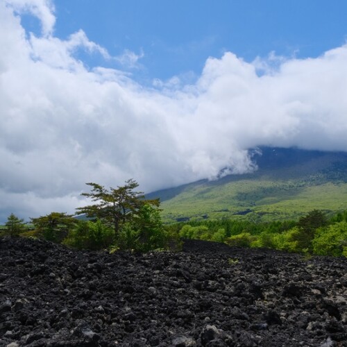 八幡平の溶岩の風景