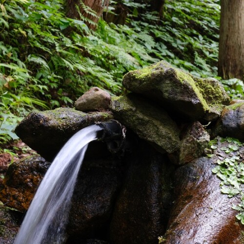 小僧滝の脇の神社の風景写真