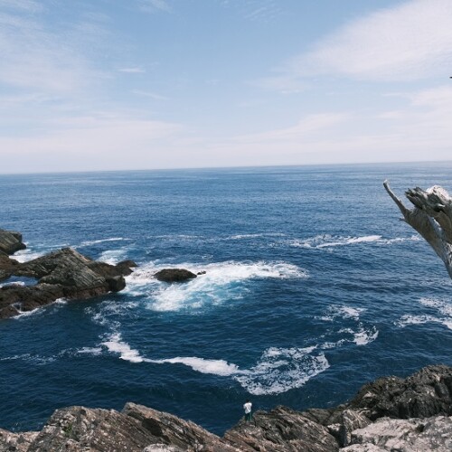 唐桑半島の夏の風景写真