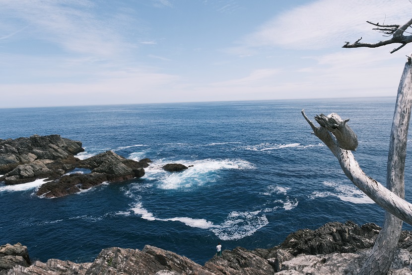 唐桑半島の夏の風景写真