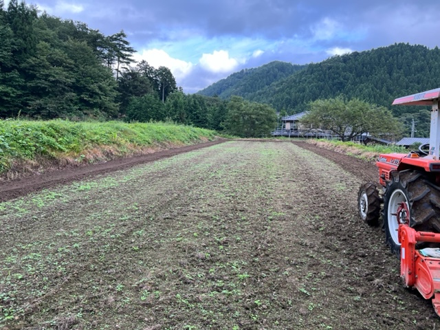 大きな減反の田んぼの雑草の写真