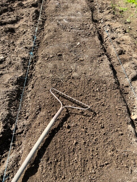 レイキで防虫剤を床土を混ぜる作業風景