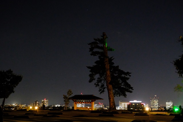 仙台城址公園の夜景の風景写真