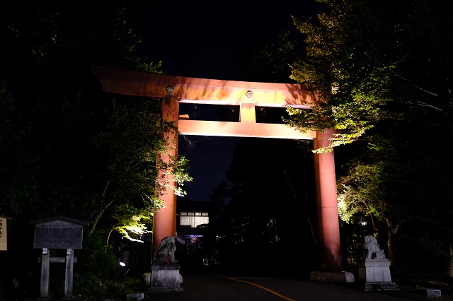 仙台城址公園の夜景の風景写真