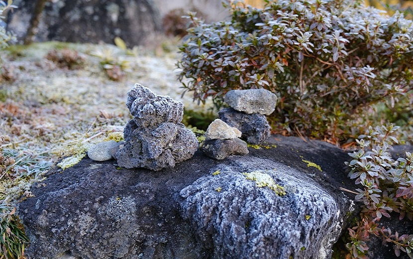 12月の庭の風景写真