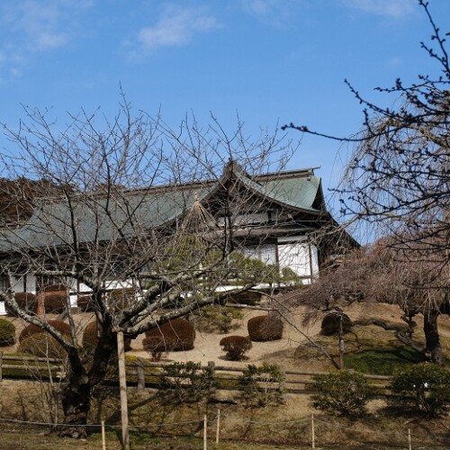 塩竈神社2月の庭園の風景写真2