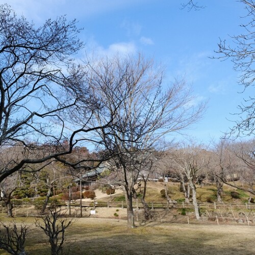 塩釜神社の2月の庭園の風景写真