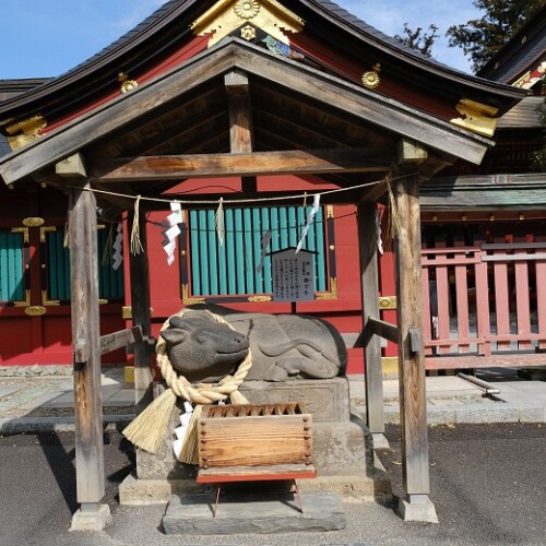 塩釜神社の撫で牛の写真