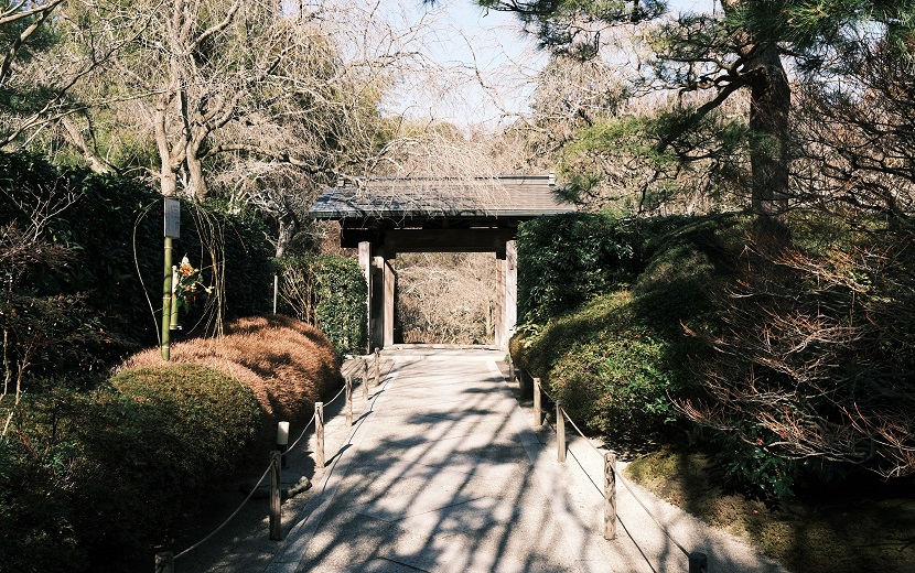 明月院の風景写真