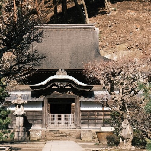 鎌倉円覚寺の１月の風景写真