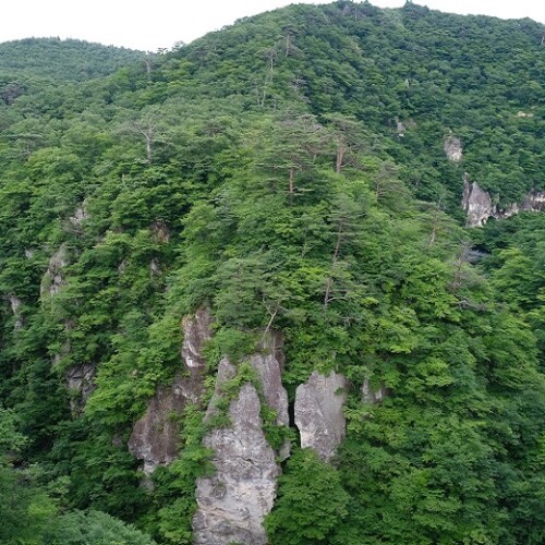 鳴子の７月夏の風景写真