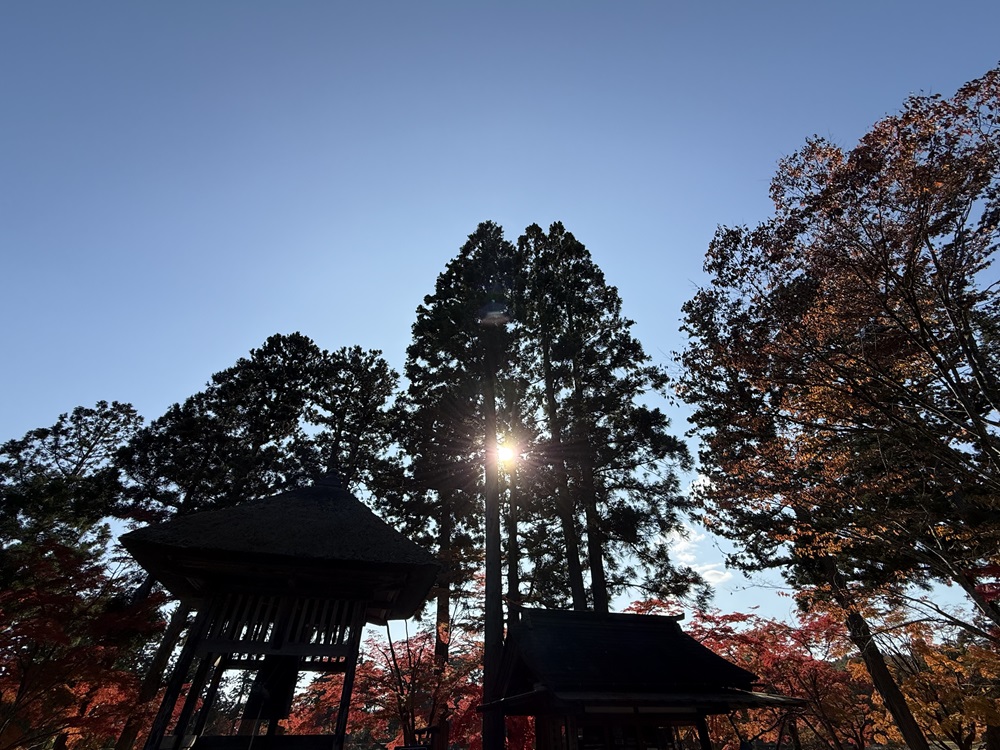 毛越寺の紅葉