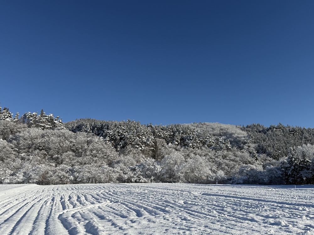 雪景色